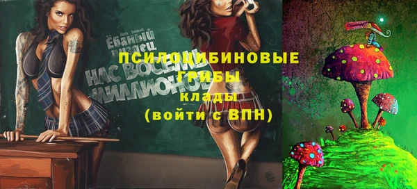 шишки Абинск