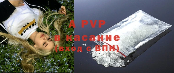 шишки Абинск